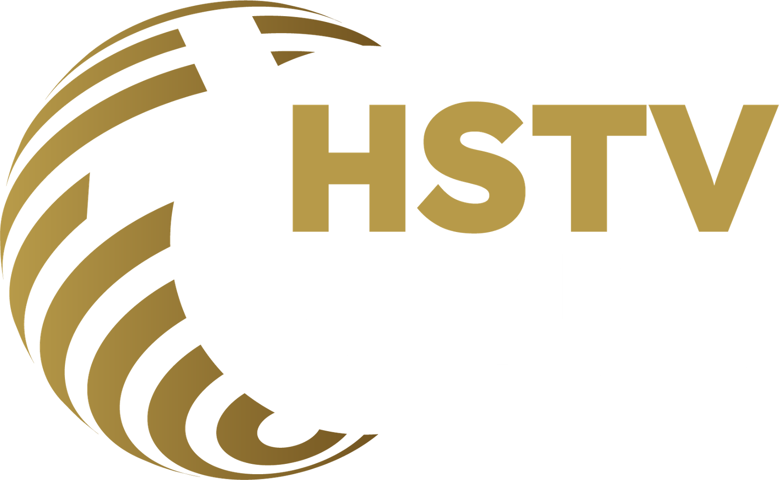 hstvkenya.org